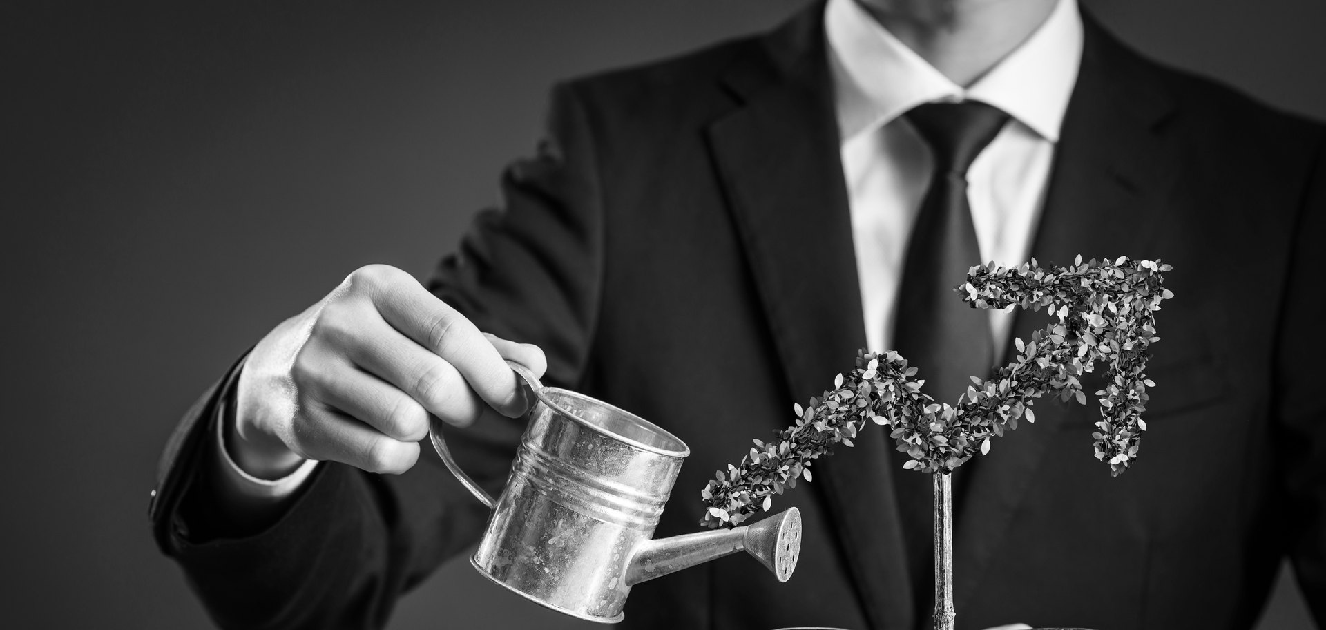 Croissance et valorisation patrimoniale sur le long terme